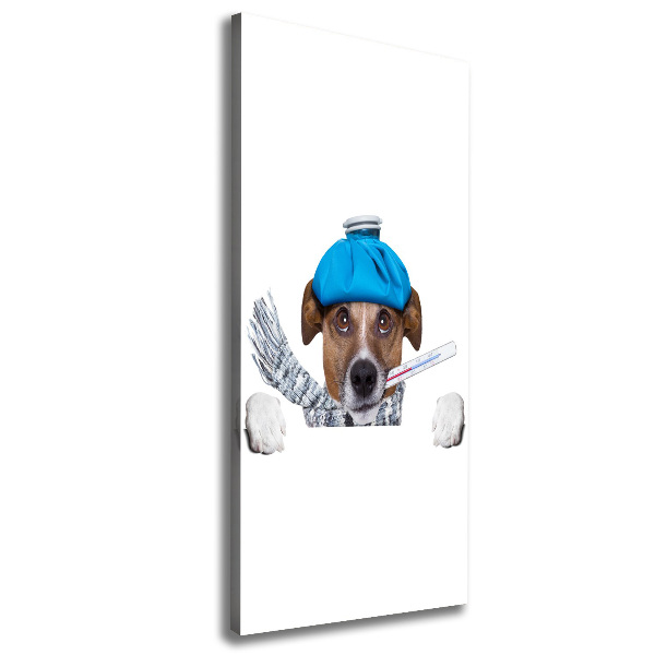 Wall art canvas large Sick dog