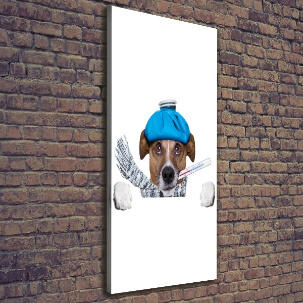 Wall art canvas large Sick dog