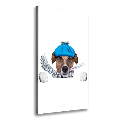 Wall art canvas large Sick dog