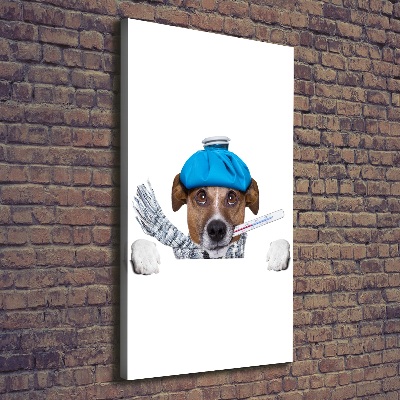 Wall art canvas large Sick dog