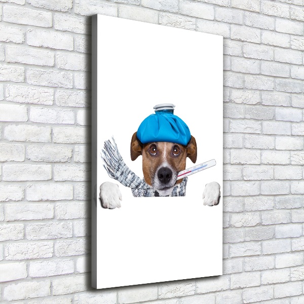 Wall art canvas large Sick dog