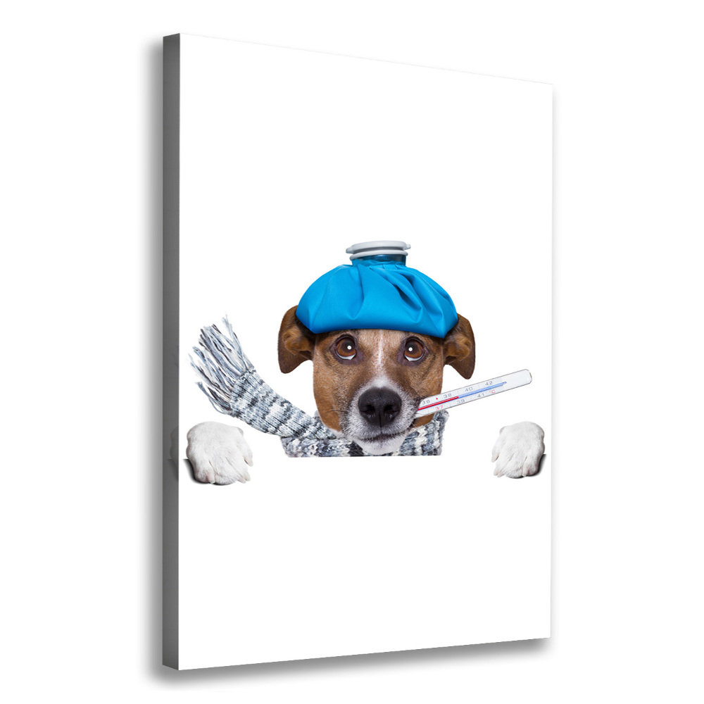 Wall art canvas large Sick dog