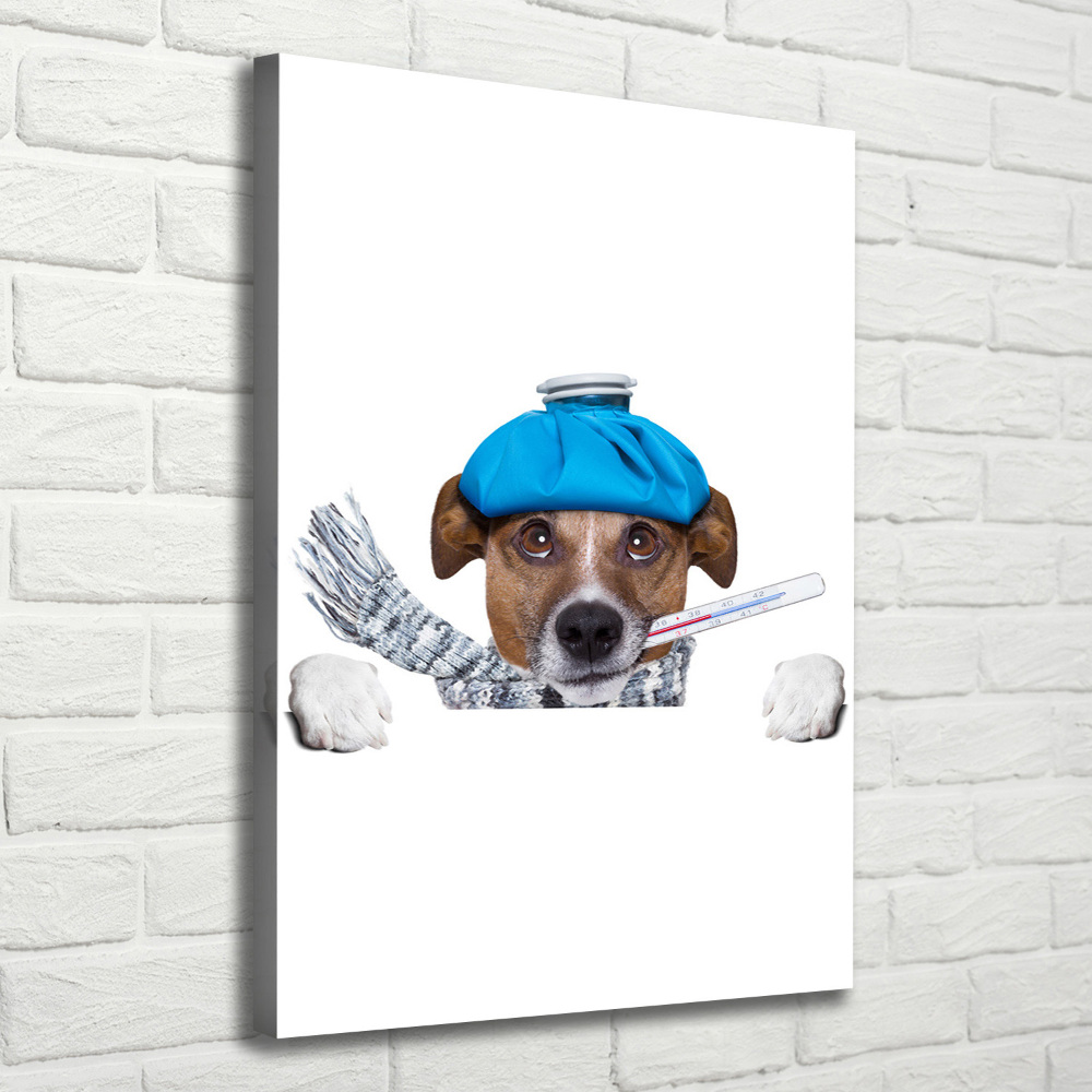 Wall art canvas large Sick dog