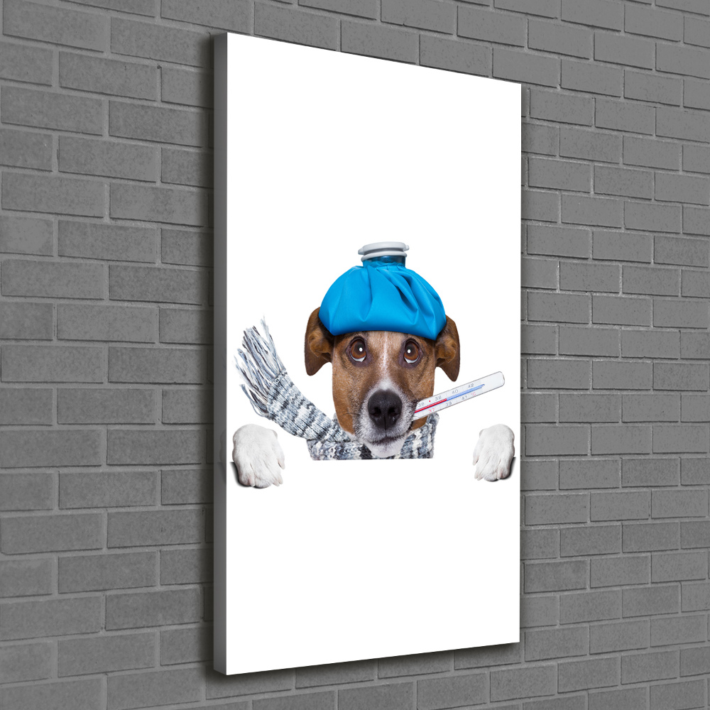 Wall art canvas large Sick dog