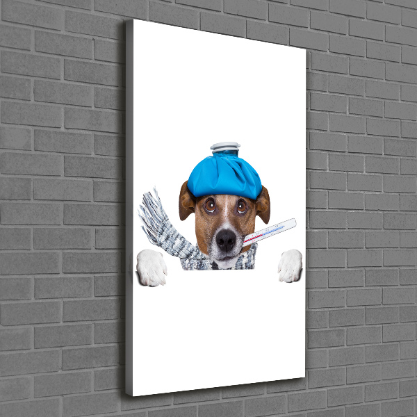 Wall art canvas large Sick dog