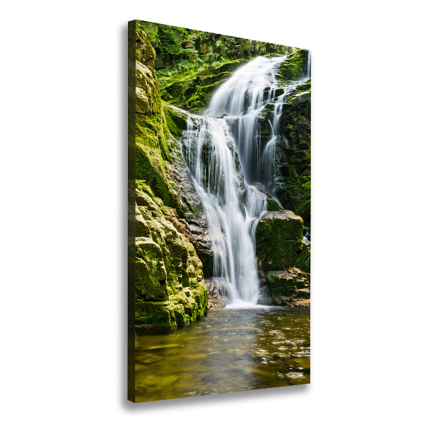 Large canvas wall art Waterfall