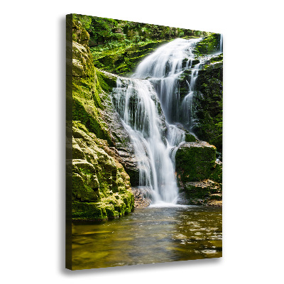 Large canvas wall art Waterfall