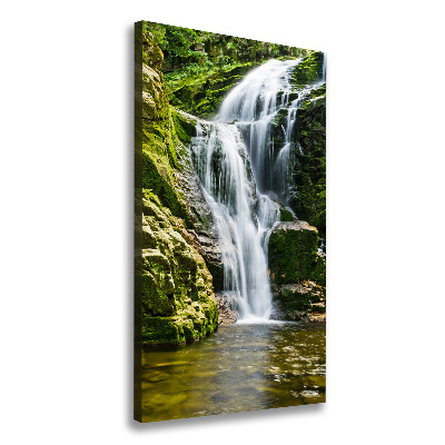 Large canvas wall art Waterfall