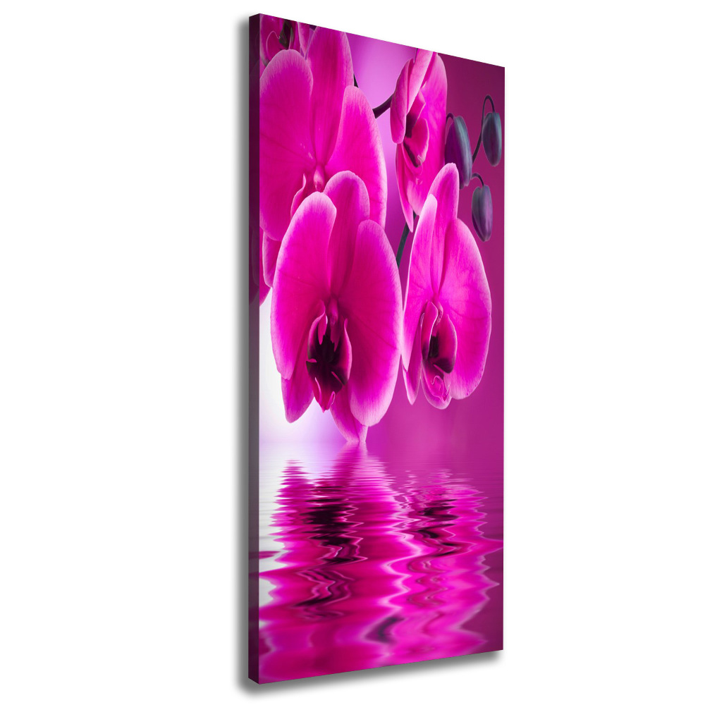 Canvas print Pink orchid