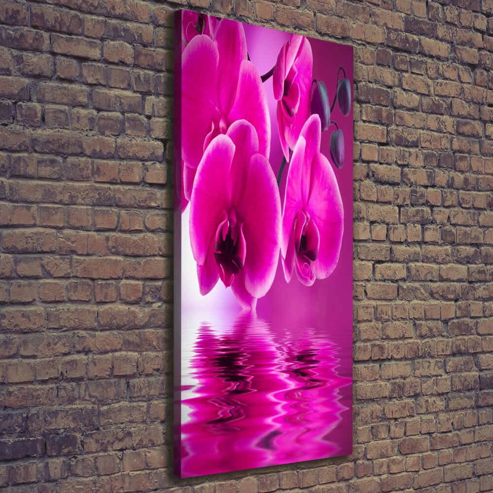 Canvas print Pink orchid