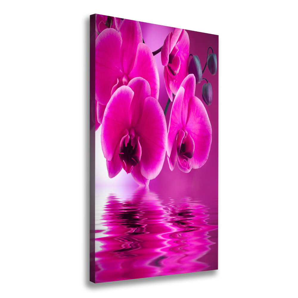 Canvas print Pink orchid