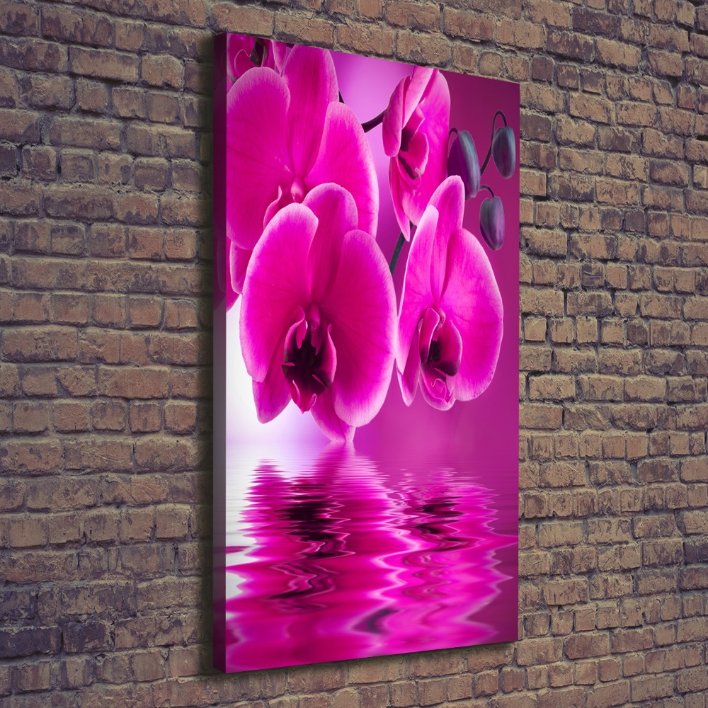 Canvas print Pink orchid