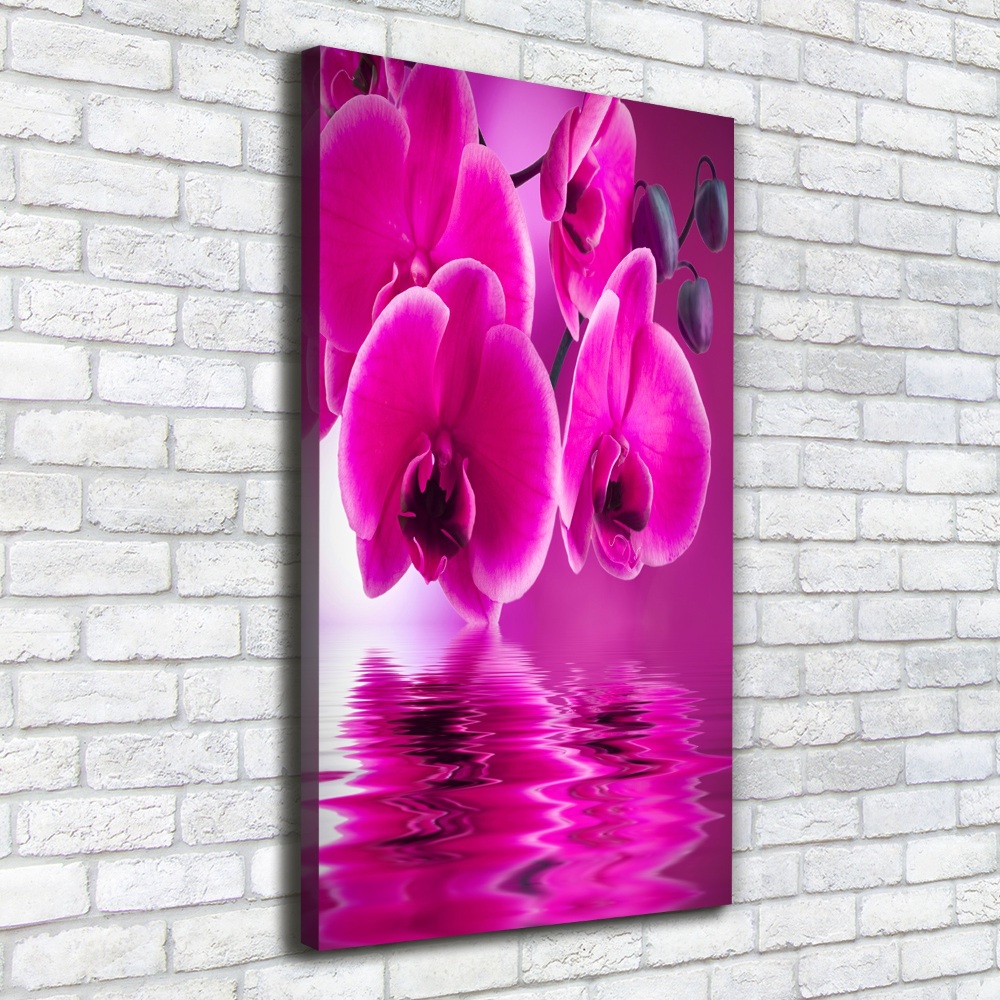 Canvas print Pink orchid