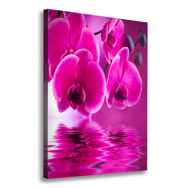 Canvas print Pink orchid