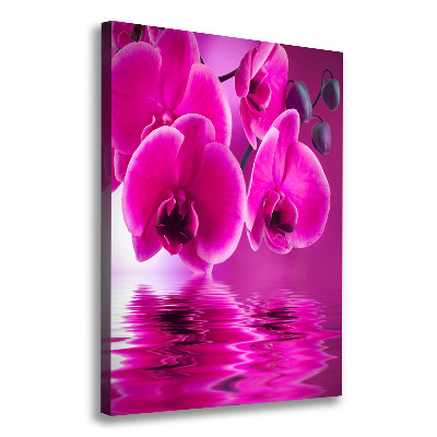 Canvas print Pink orchid