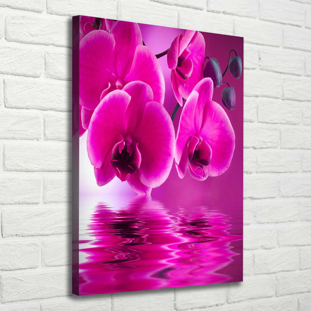 Canvas print Pink orchid