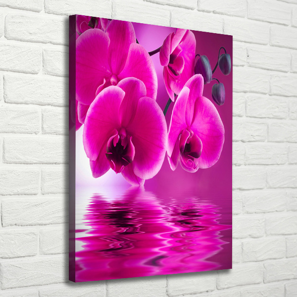 Canvas print Pink orchid