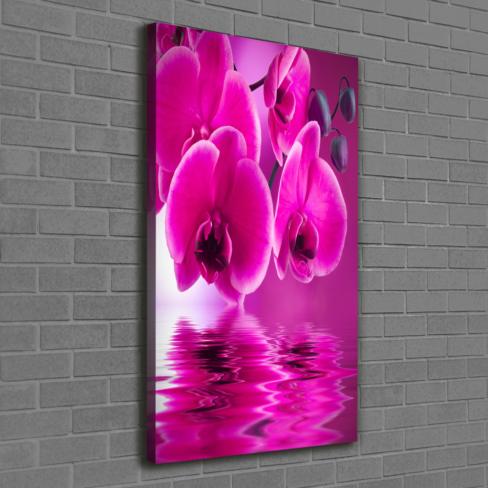 Canvas print Pink orchid