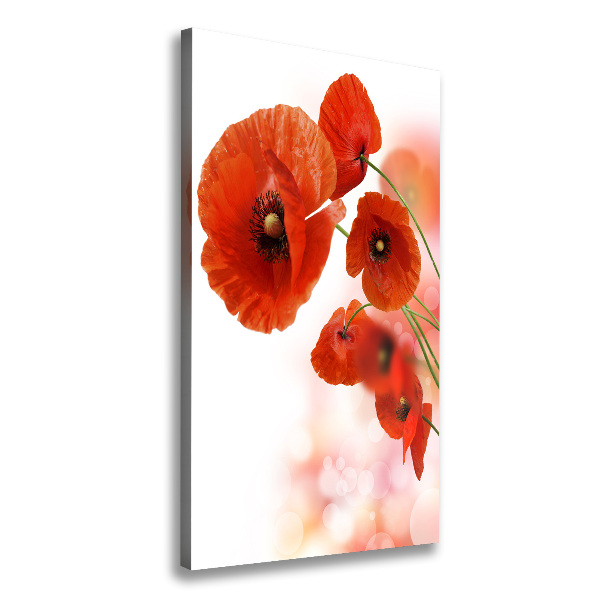 Wall art canvas large Field poppy