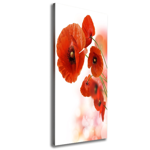 Wall art canvas large Field poppy