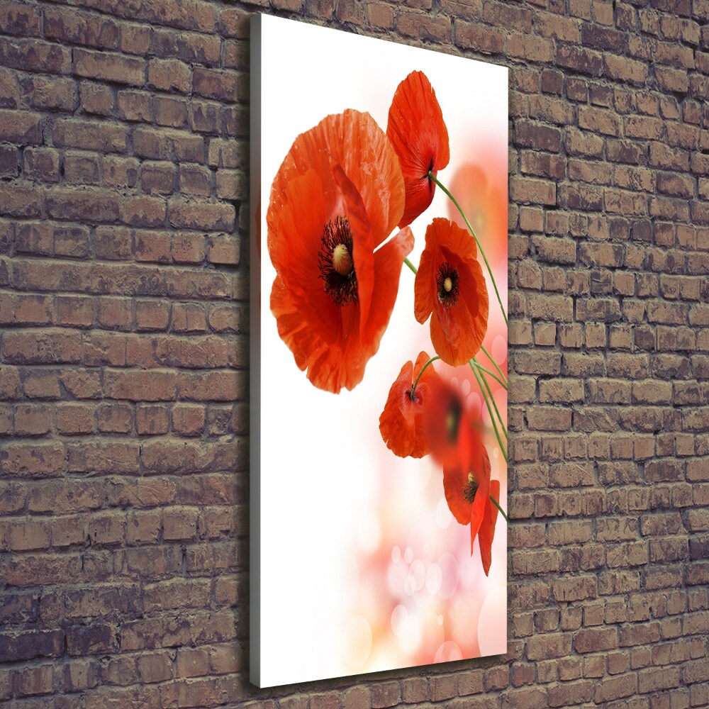 Wall art canvas large Field poppy