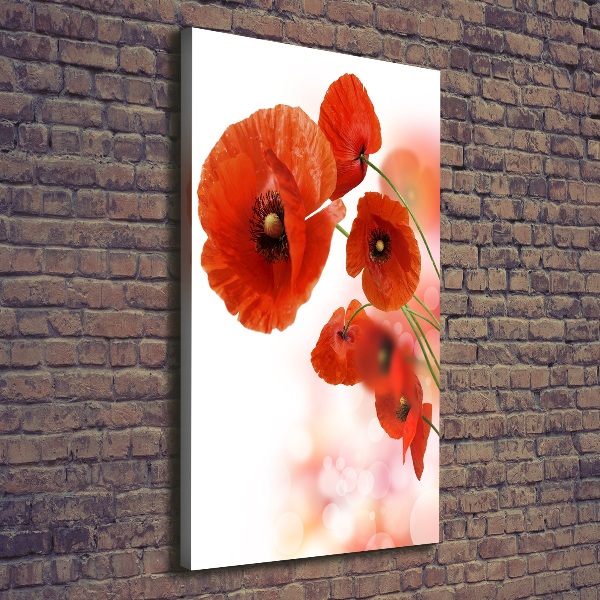 Wall art canvas large Field poppy