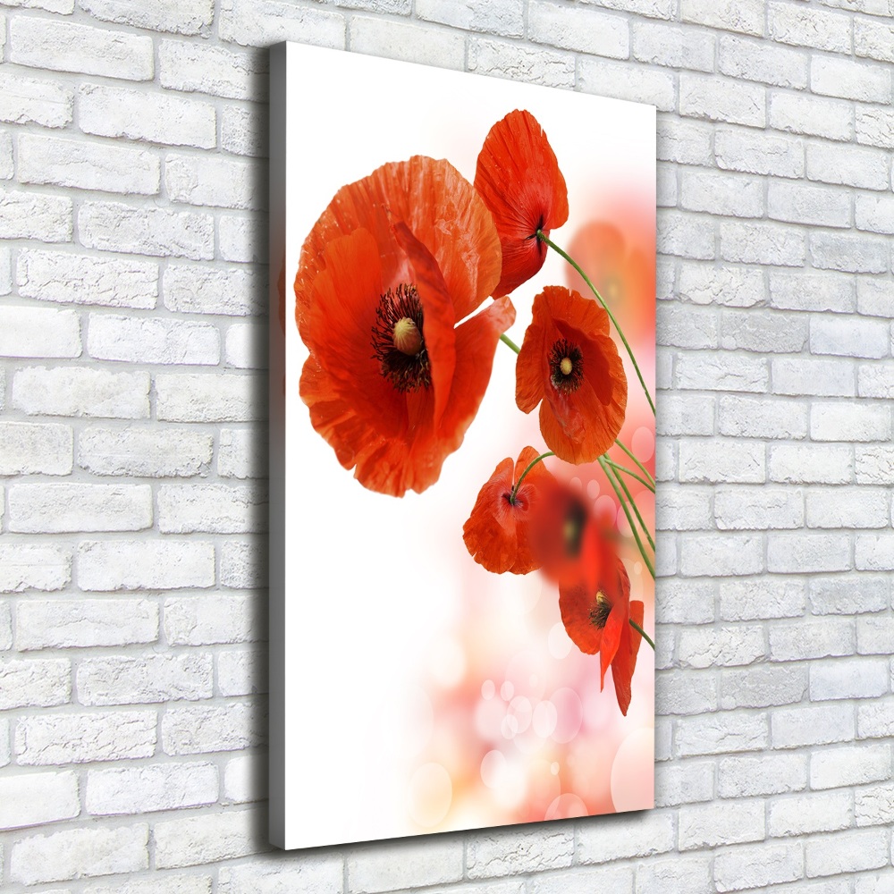 Wall art canvas large Field poppy