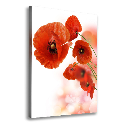 Wall art canvas large Field poppy