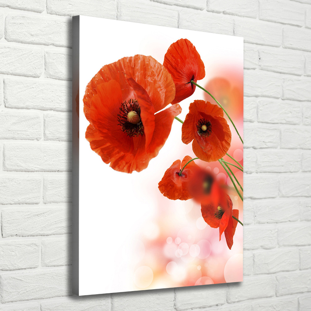 Wall art canvas large Field poppy