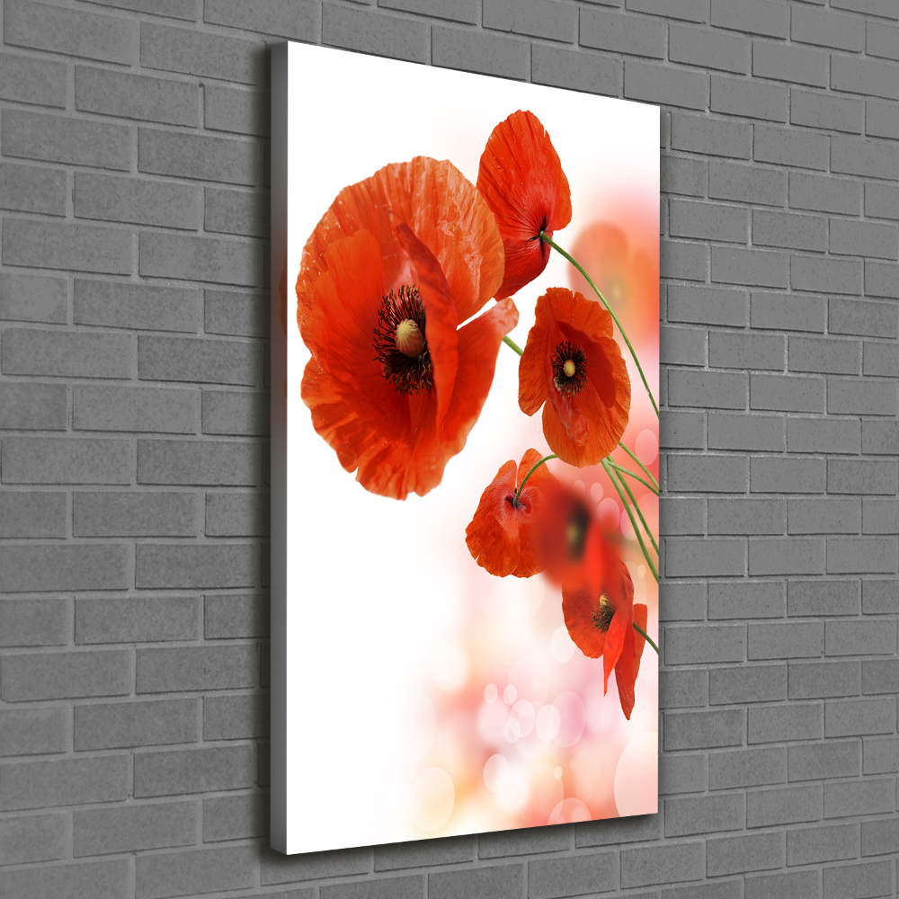 Wall art canvas large Field poppy