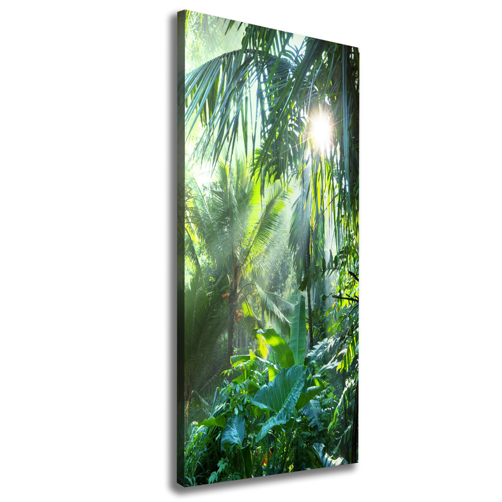 Canvas print Jungle