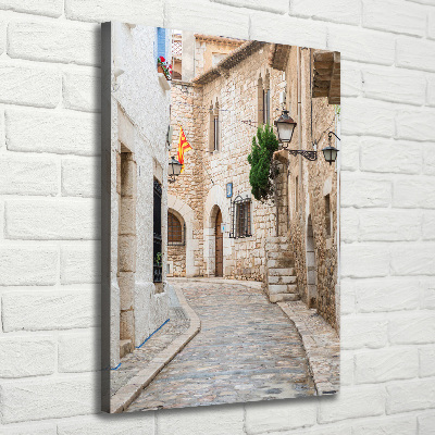 Large canvas wall art Streets in Spain