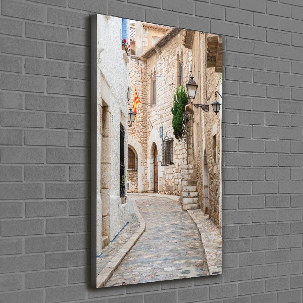 Large canvas wall art Streets in Spain