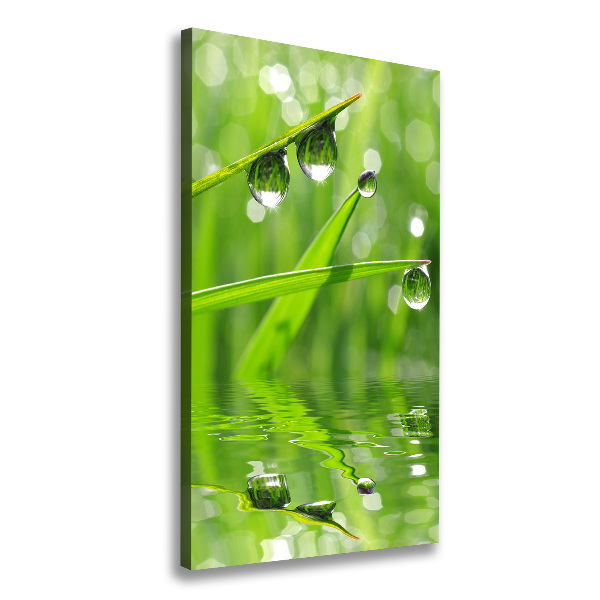 Wall art canvas large Blade of grass