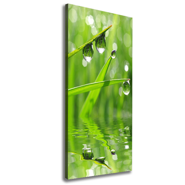 Wall art canvas large Blade of grass