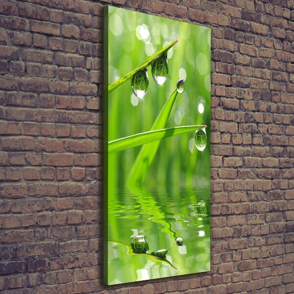 Wall art canvas large Blade of grass