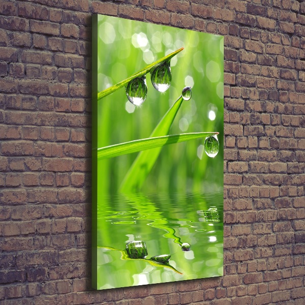 Wall art canvas large Blade of grass