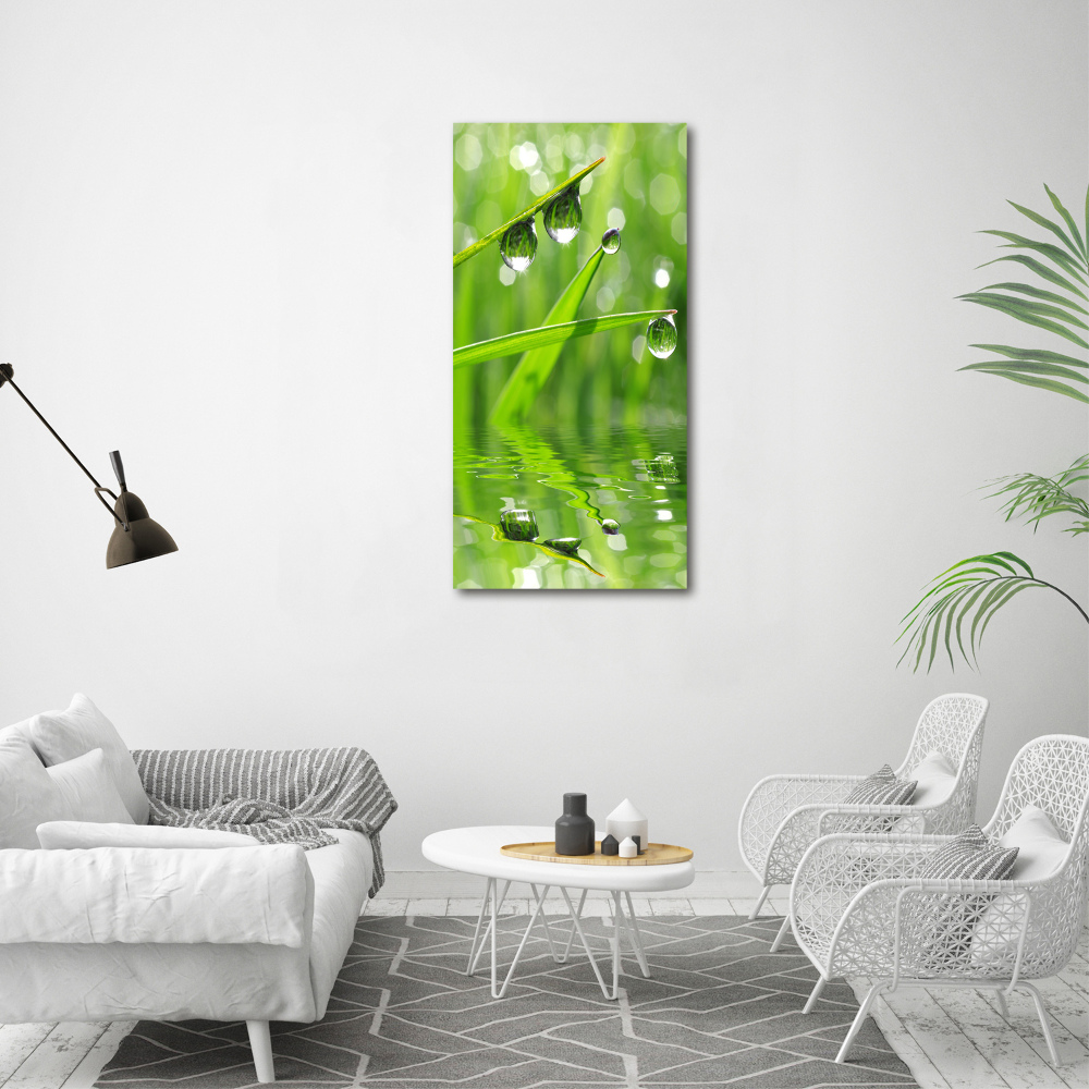 Wall art canvas large Blade of grass