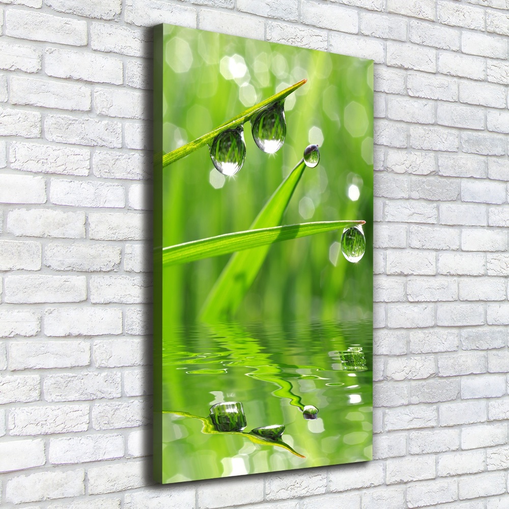 Wall art canvas large Blade of grass