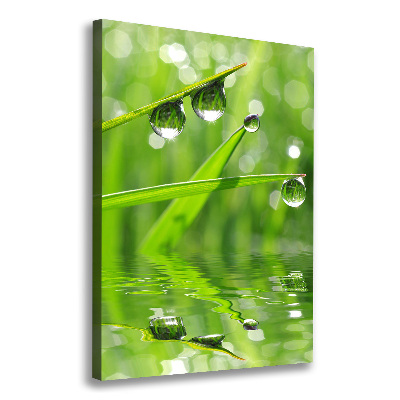 Wall art canvas large Blade of grass