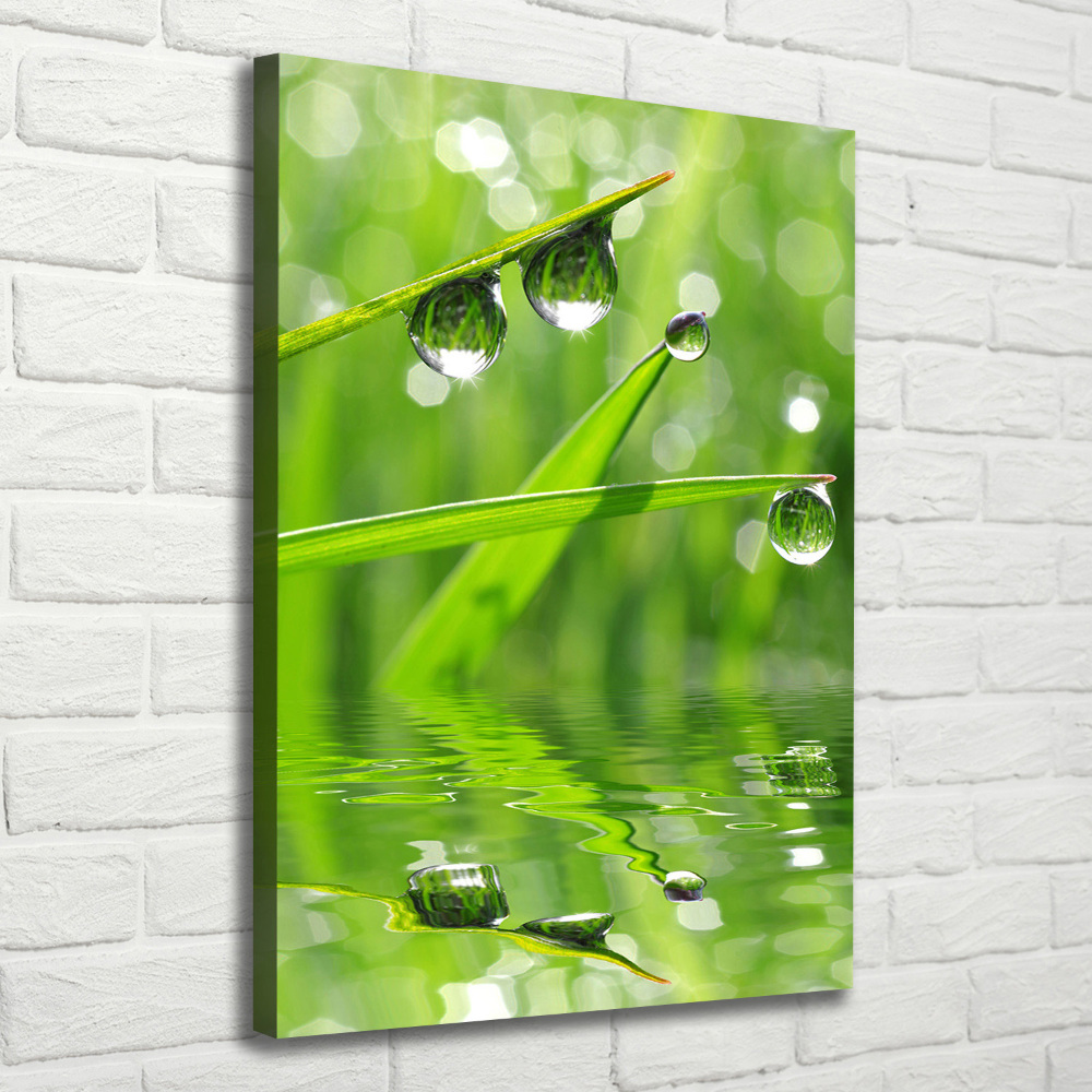 Wall art canvas large Blade of grass