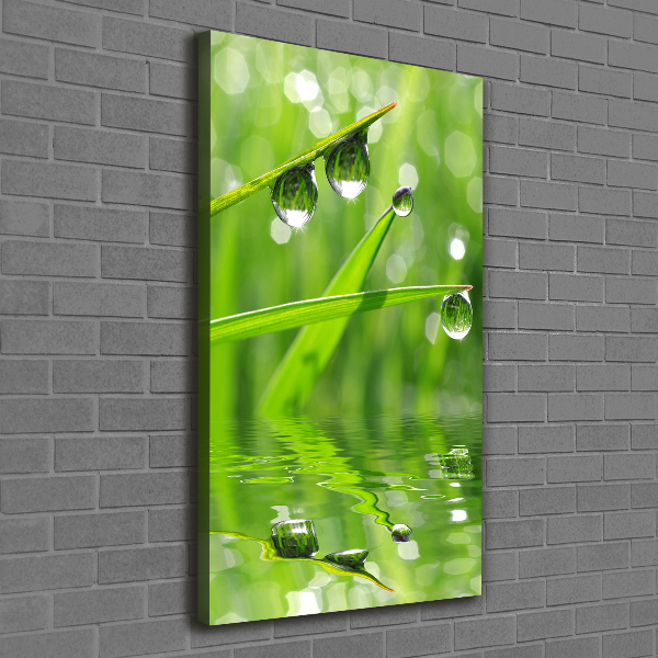 Wall art canvas large Blade of grass