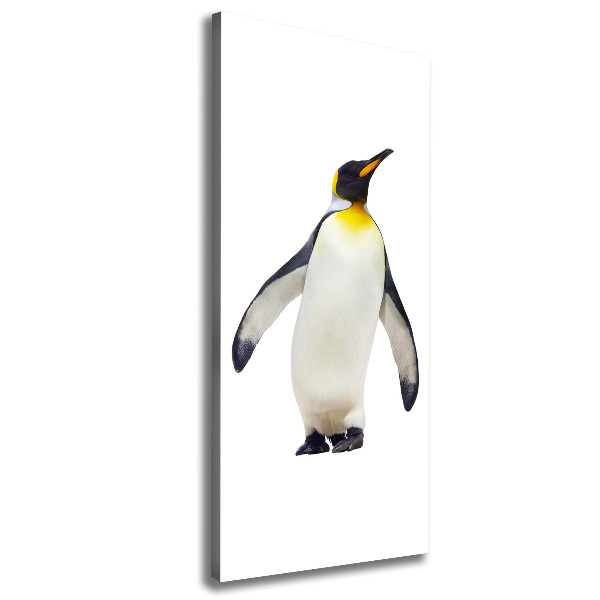 Large canvas wall art Penguin