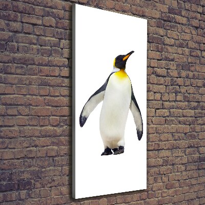 Large canvas wall art Penguin