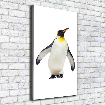 Large canvas wall art Penguin