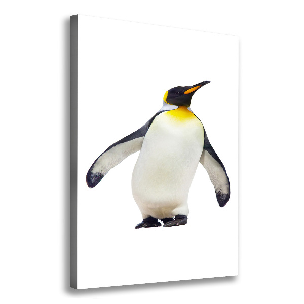 Large canvas wall art Penguin