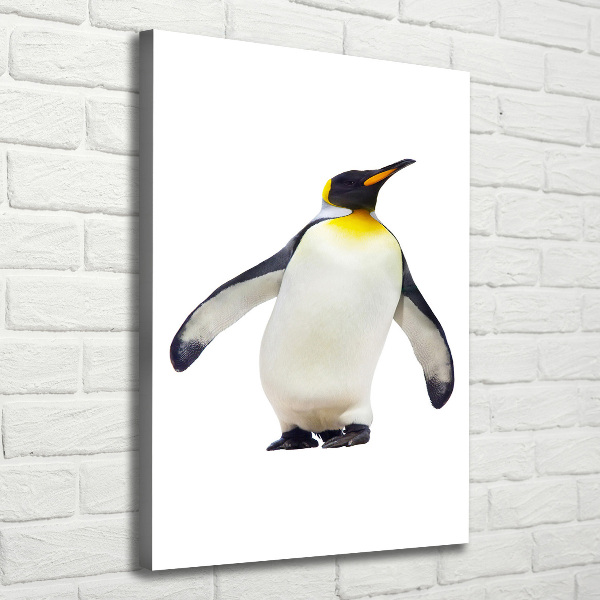 Large canvas wall art Penguin