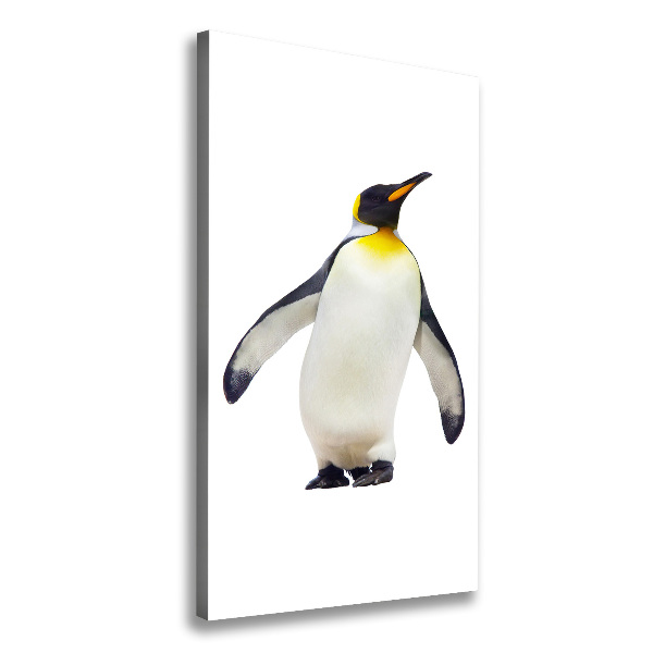 Large canvas wall art Penguin