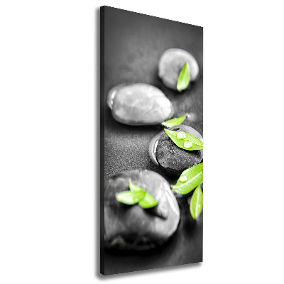 Canvas print Zen stones leaves