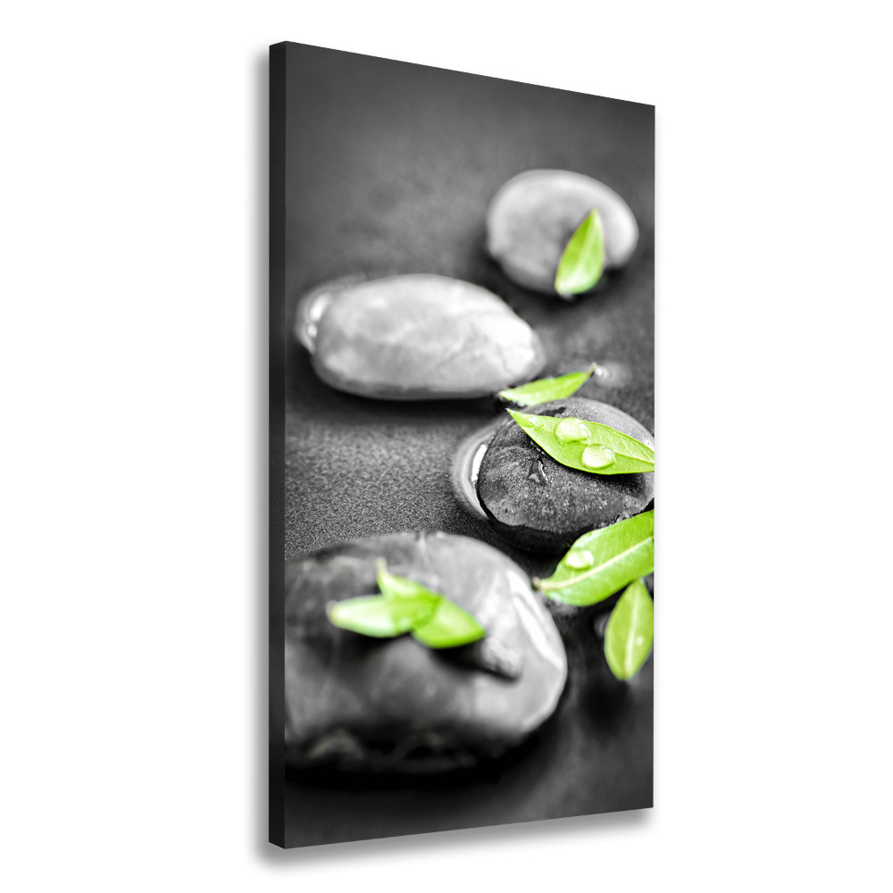 Canvas print Zen stones leaves